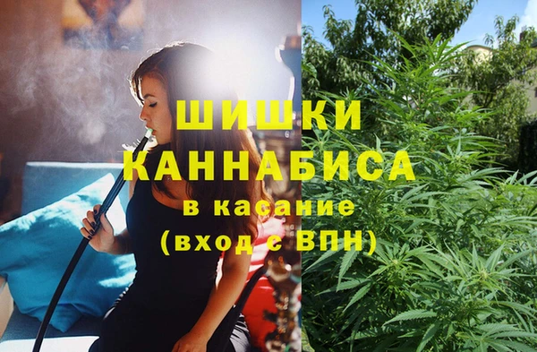 эйфоретик Медвежьегорск