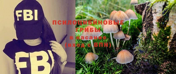 не бодяженный Мегион