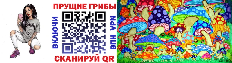 Псилоцибиновые грибы мицелий Нытва